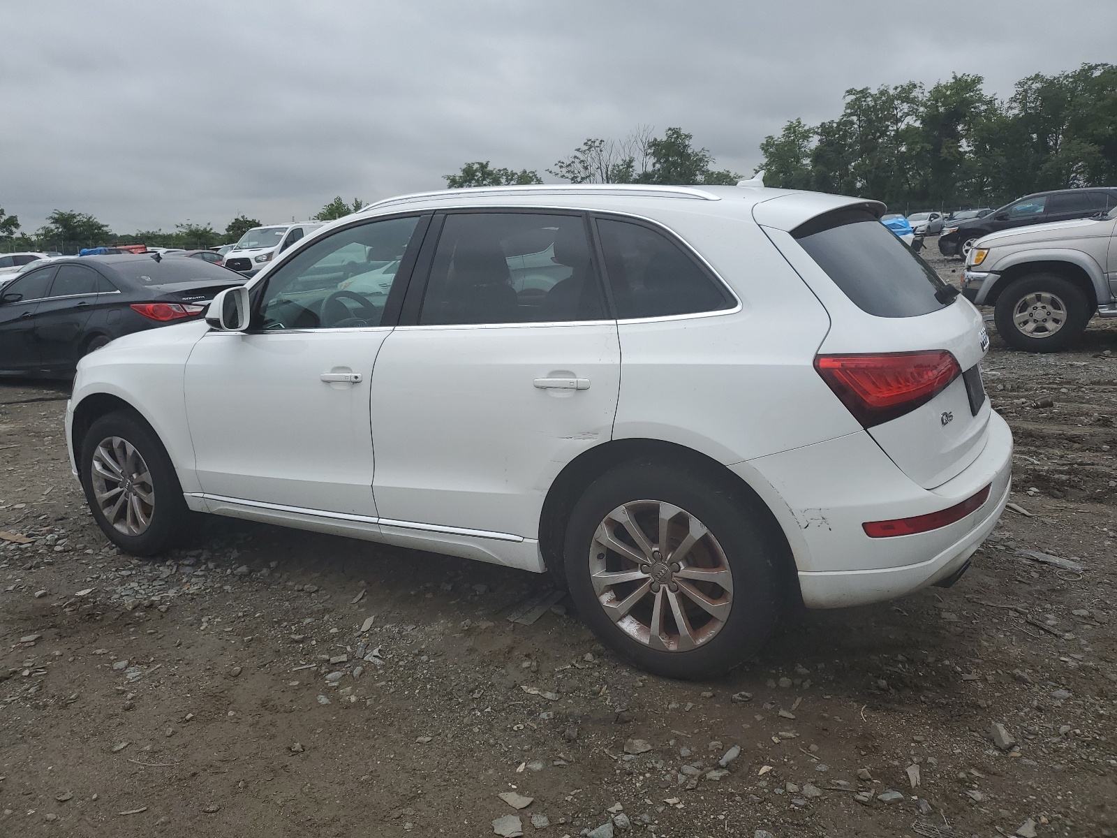 2013 Audi Q5 Premium vin: WA1CFAFP8DA042738