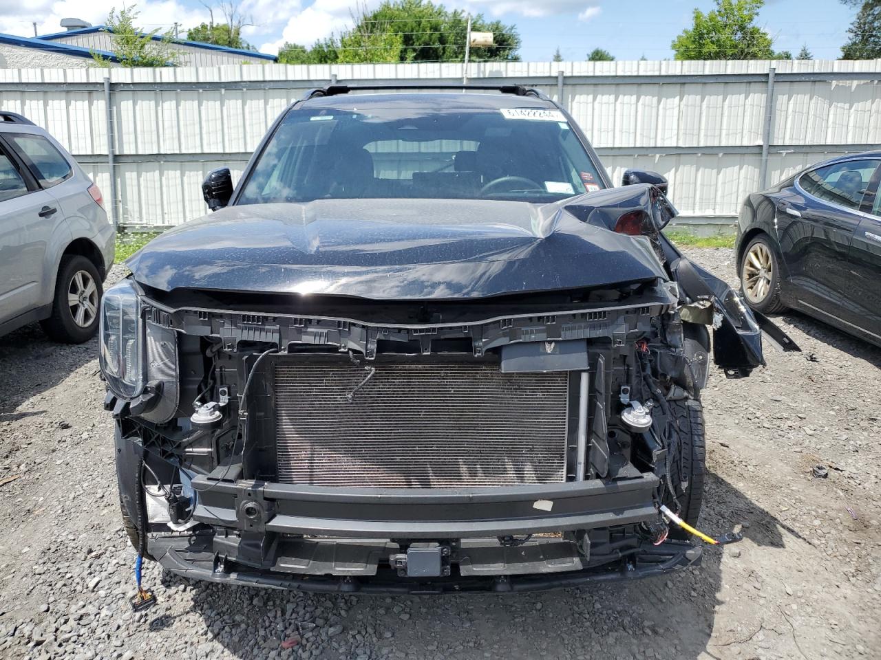 2023 Kia Telluride Sx VIN: 5XYP5DGC9PG331686 Lot: 61422244