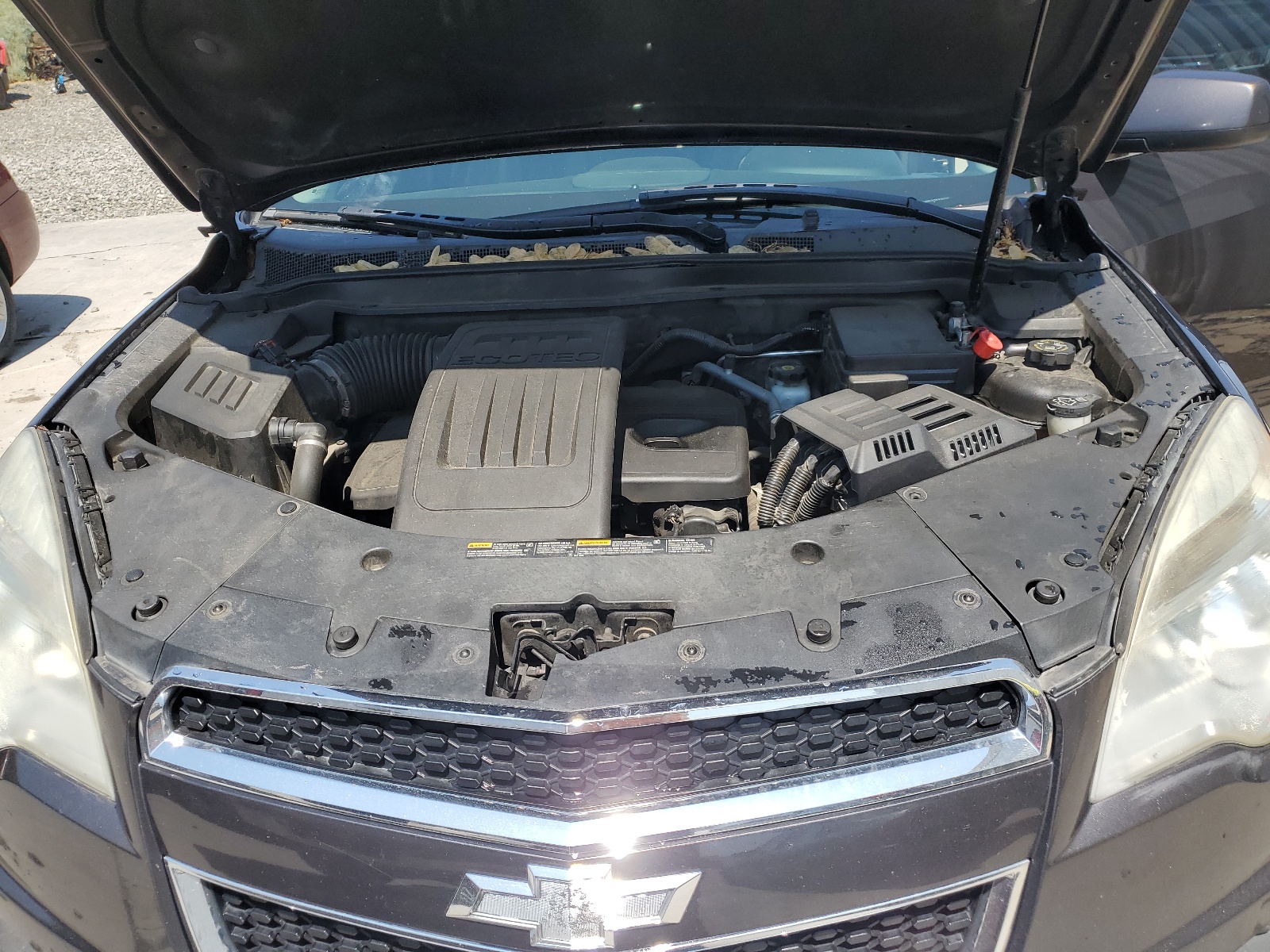 2GNALDEK8D6363339 2013 Chevrolet Equinox Lt