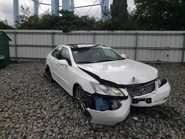 2009 Lexus Es 350 VIN: JTHBJ46G392304411 Lot: 65162694