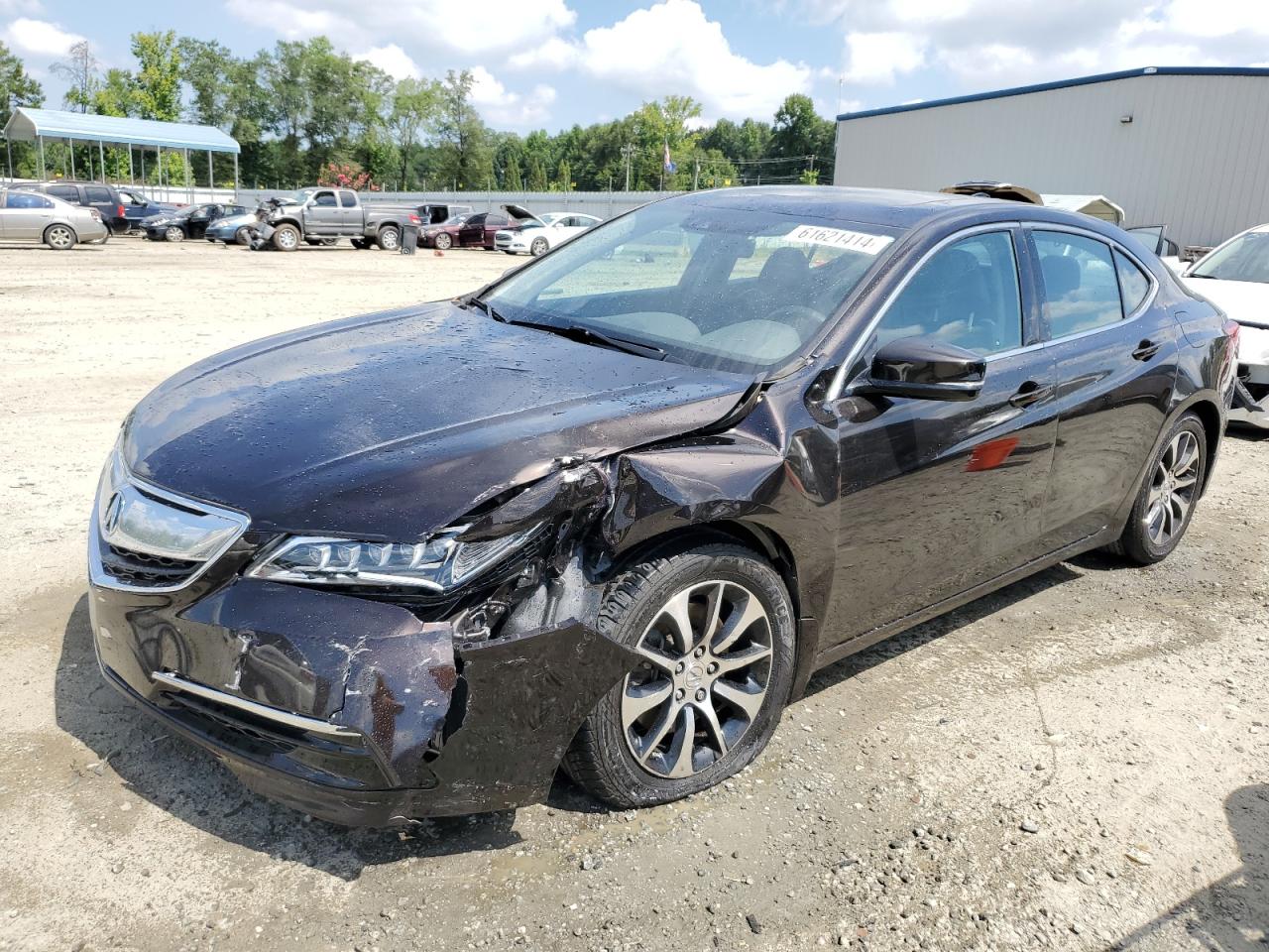 2015 Acura Tlx Tech VIN: 19UUB1F50FA013114 Lot: 61621414