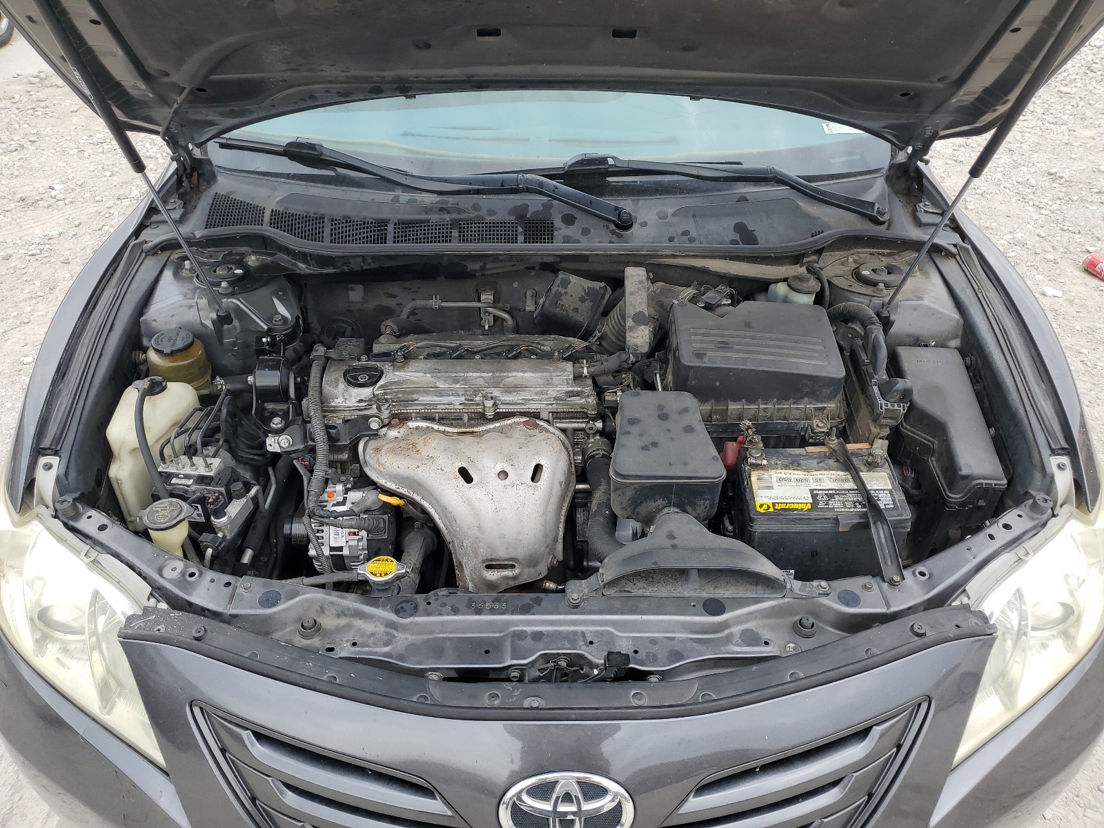 4T1BE46K98U256289 2008 Toyota Camry Ce