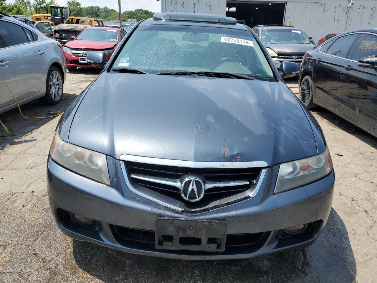 2006 Acura Tsx VIN: JH4CL96866C006543 Lot: 62750114