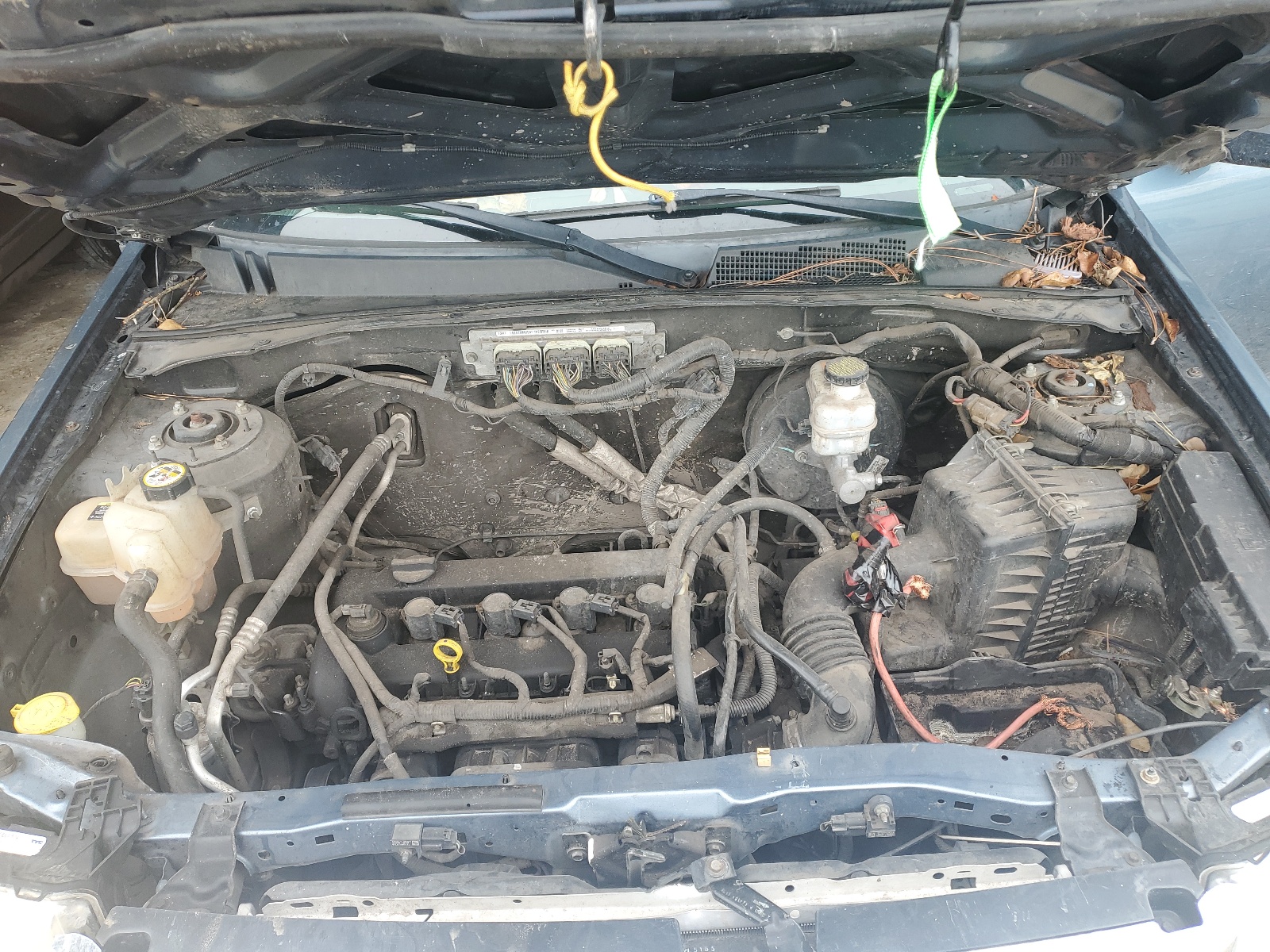 1FMCU0D78BKB85605 2011 Ford Escape Xlt