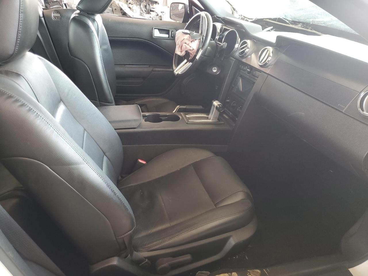2006 Ford Mustang VIN: 1ZVFT80N165227184 Lot: 49333245