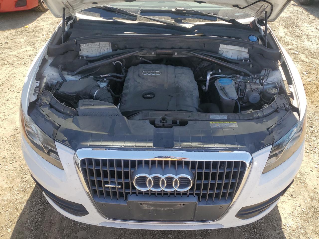 2012 Audi Q5 Premium Plus VIN: WA1LFAFP1CA009899 Lot: 64453044