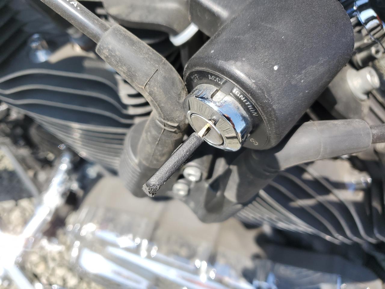 2012 Harley-Davidson Xl1200 V VIN: 1HD1LF328CC437449 Lot: 64647634