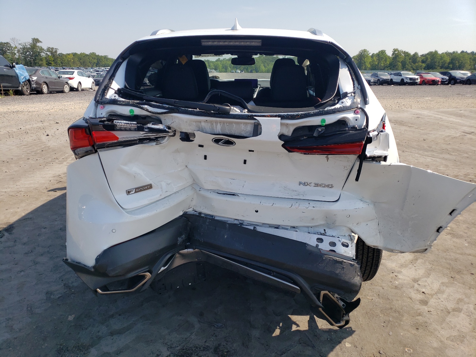 JTJSARDZ5M2262641 2021 Lexus Nx 300 Base