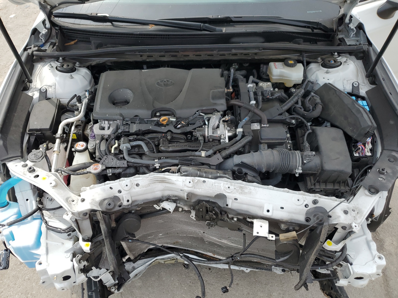 4T1B21FB0KU008379 2019 Toyota Avalon Xle