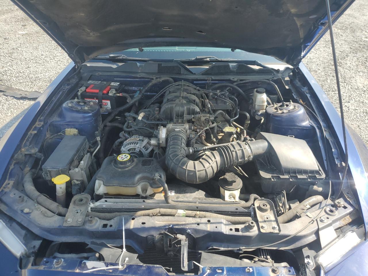 2010 Ford Mustang VIN: 1ZVBP8AN4A5105588 Lot: 65361404