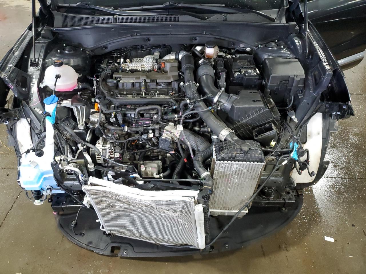 2022 Hyundai Santa Fe Calligraphy VIN: 5NMS5DAL9NH376164 Lot: 63895604