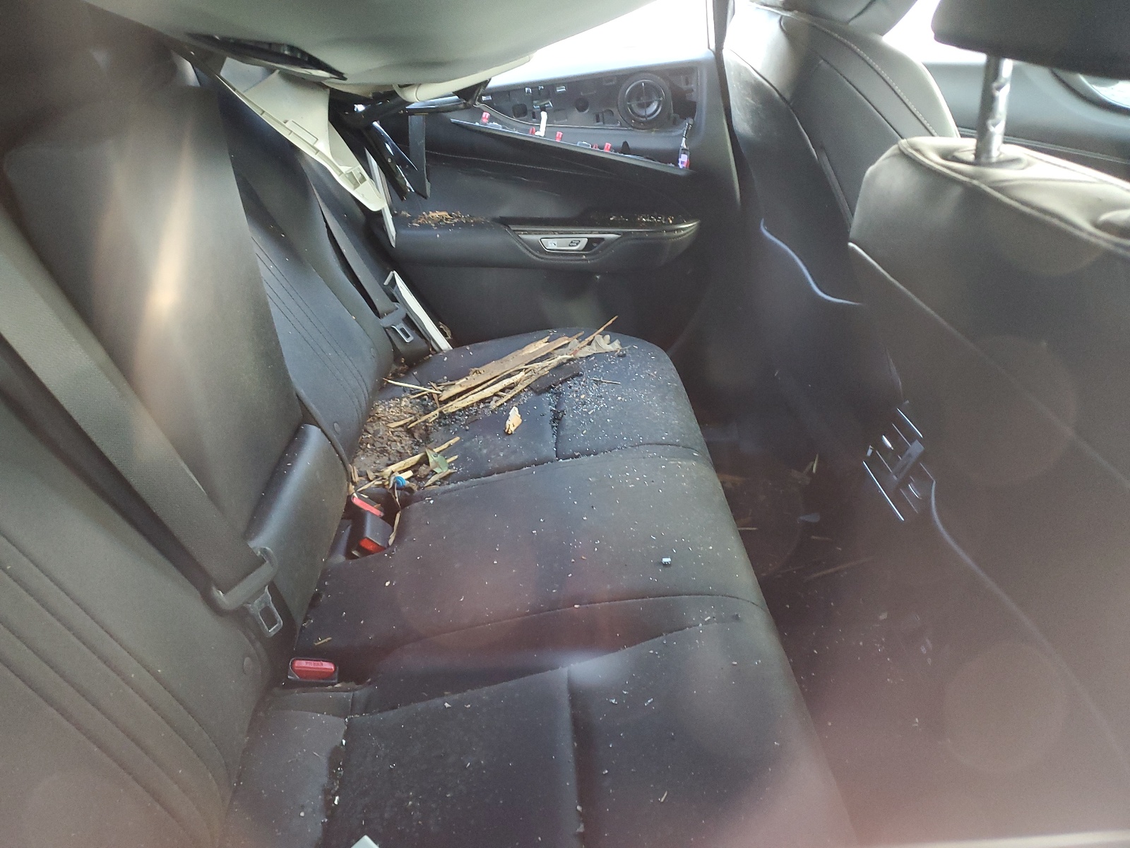 2T2GGCEZ3PC017468 2023 Lexus Nx 350