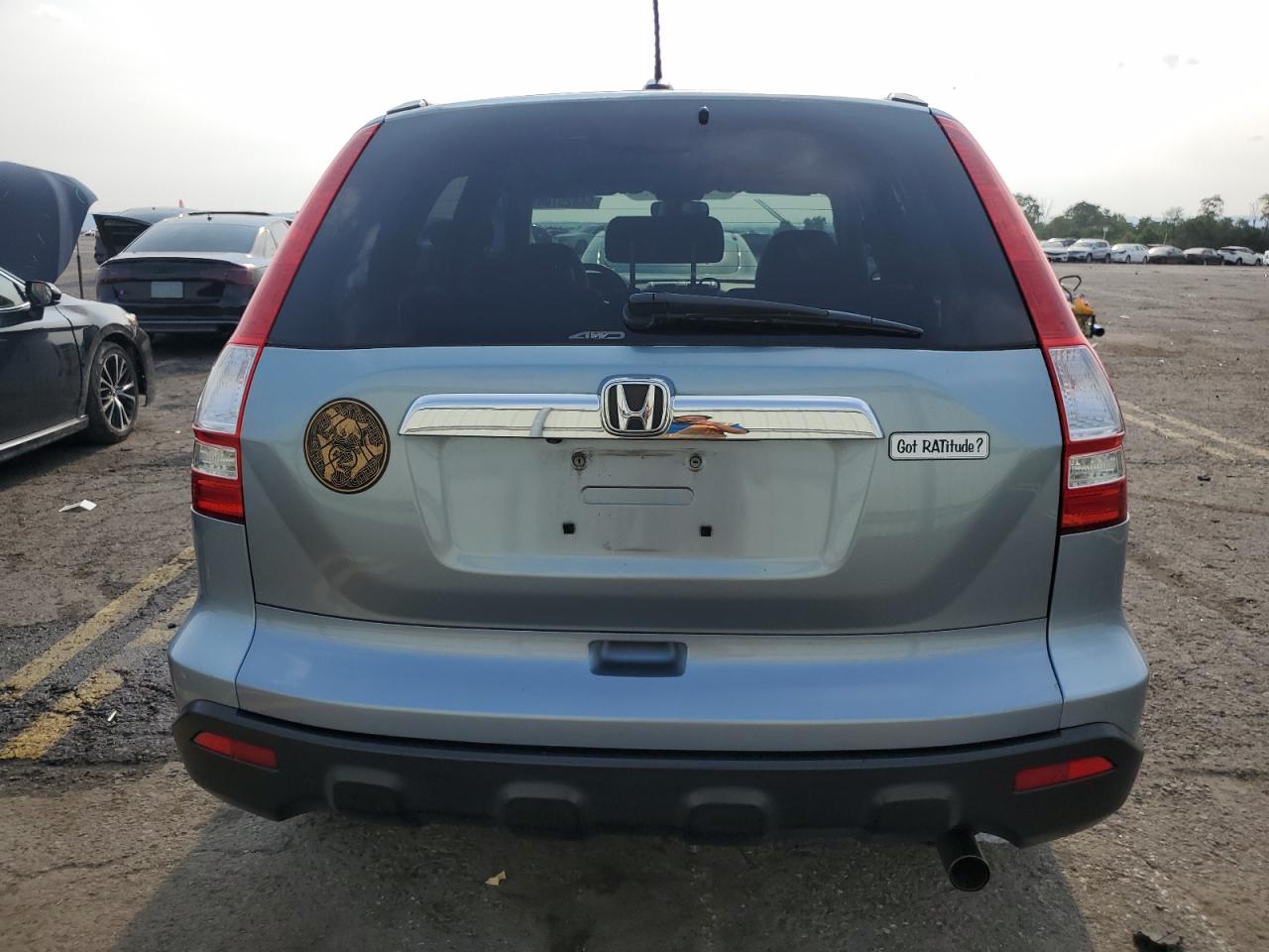 2008 Honda Cr-V Exl VIN: 5J6RE48708L050564 Lot: 64825704