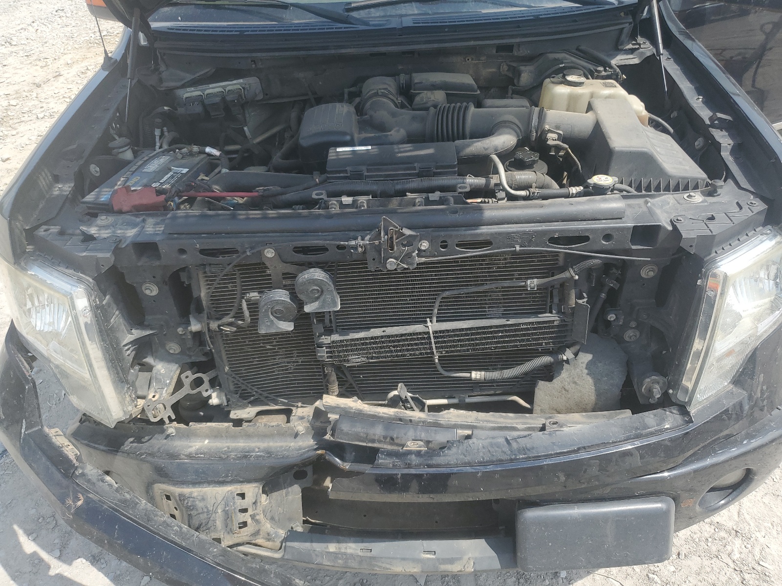 1FTFW1EV7AFC10418 2010 Ford F150 Supercrew