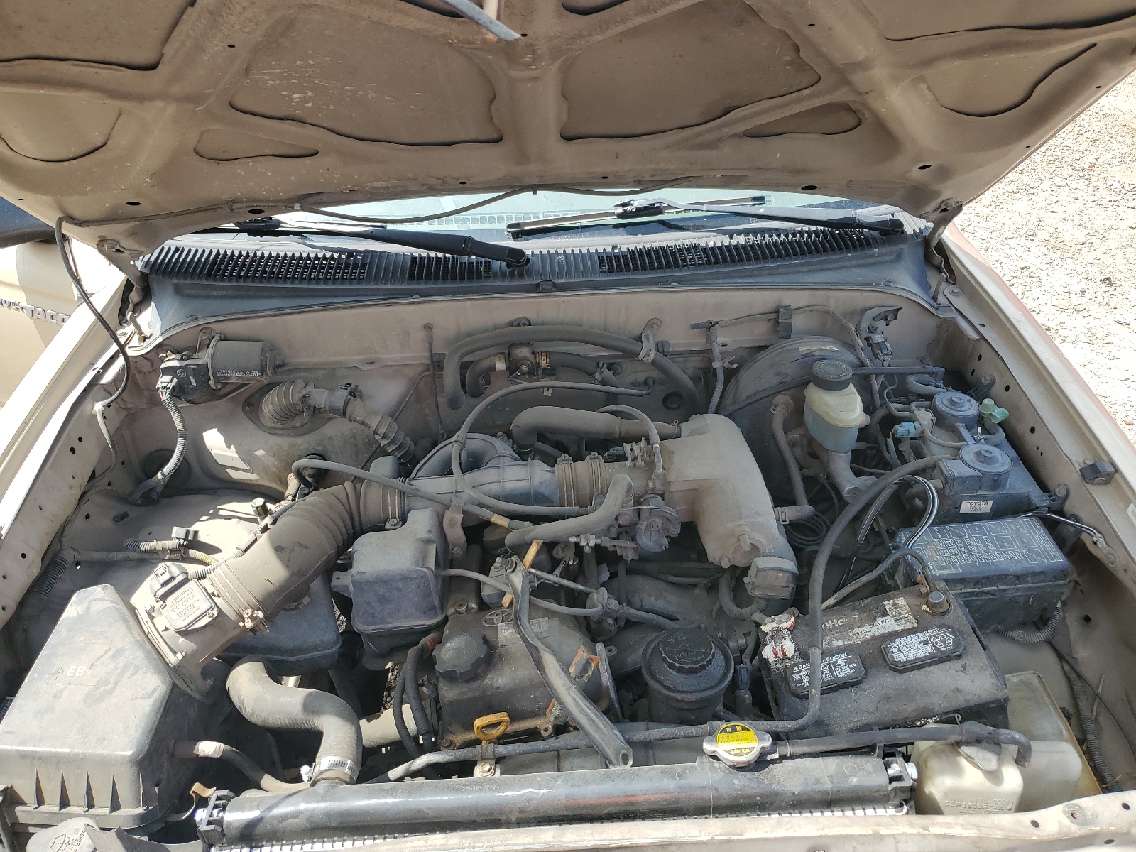 5TENL42NX1Z873088 2001 Toyota Tacoma