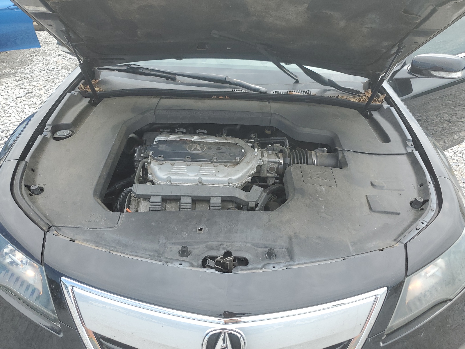 19UUA8F5XCA025956 2012 Acura Tl