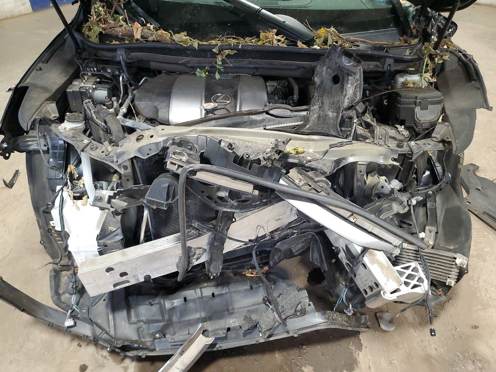 2T2BZMCA5KC194121 2019 Lexus Rx 350 Base