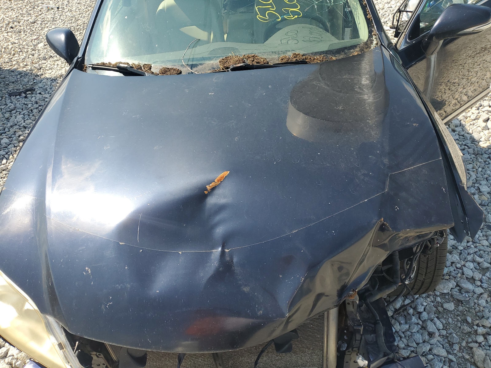 JTHBK1EGXA2359245 2010 Lexus Es 350