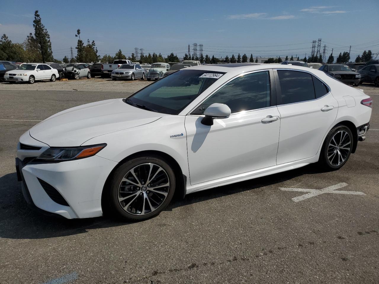 4T1B21HK1KU011224 2019 TOYOTA CAMRY - Image 1