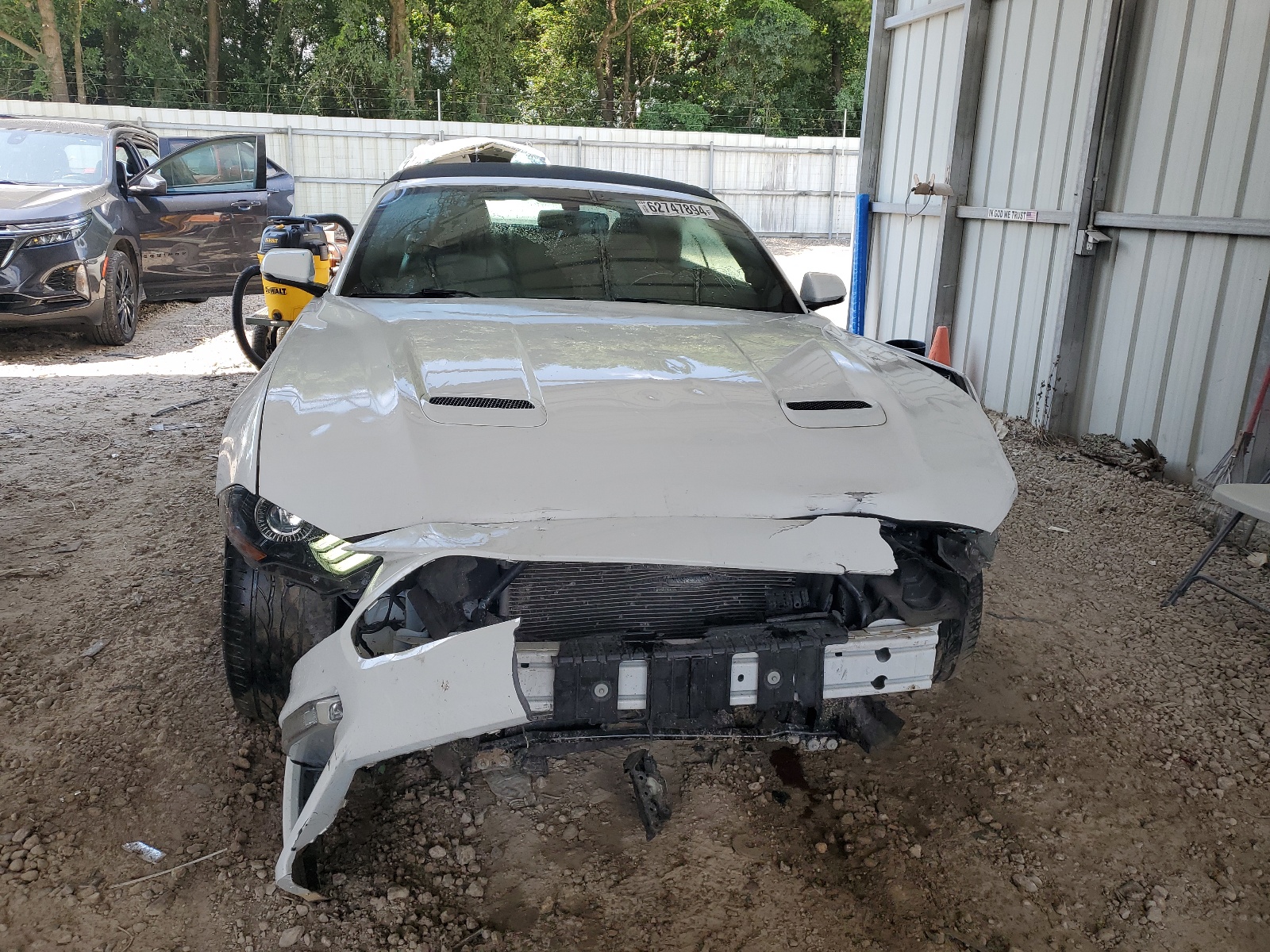 1FATP8FF1K5171838 2019 Ford Mustang Gt