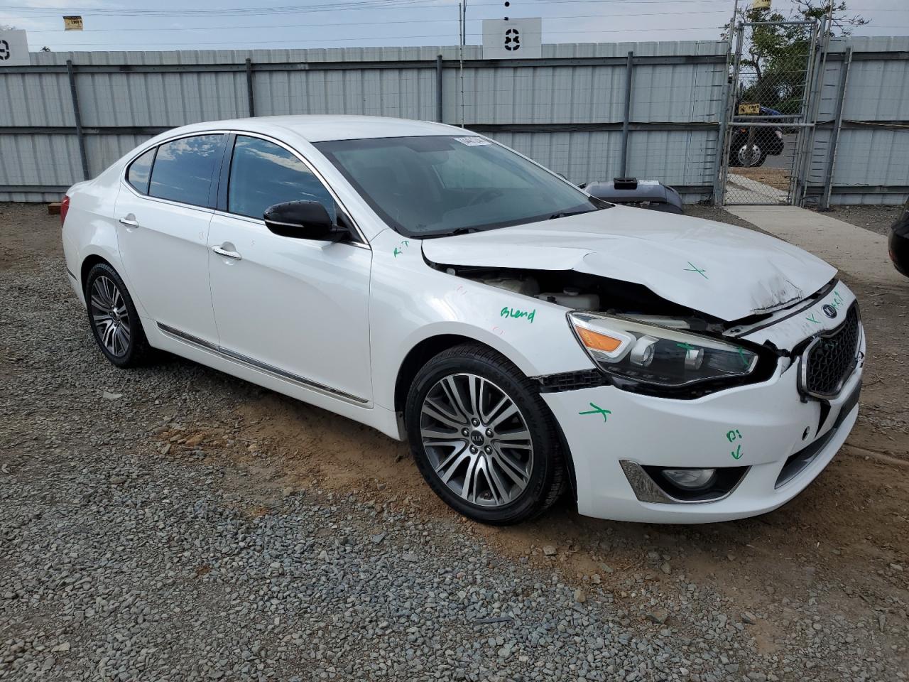 2014 Kia Cadenza Premium VIN: KNALN4D72E5166699 Lot: 64481244
