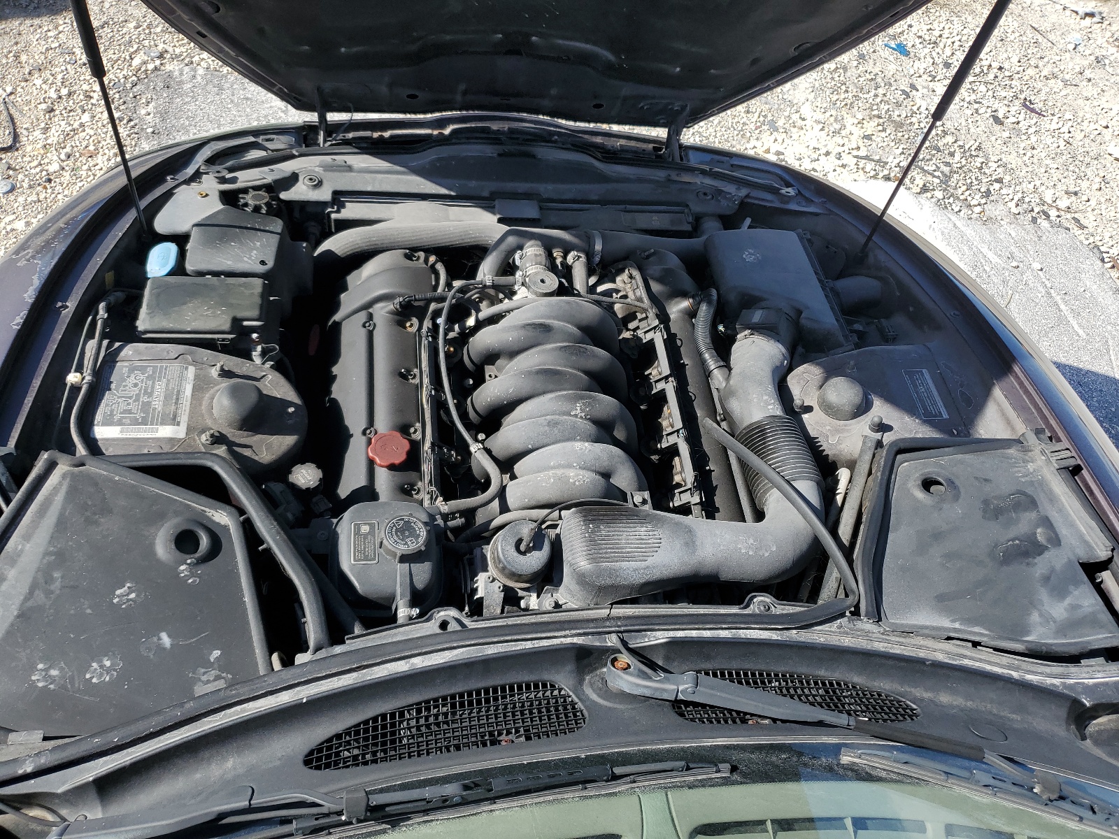 SAJGX224XWC020786 1998 Jaguar Xk8