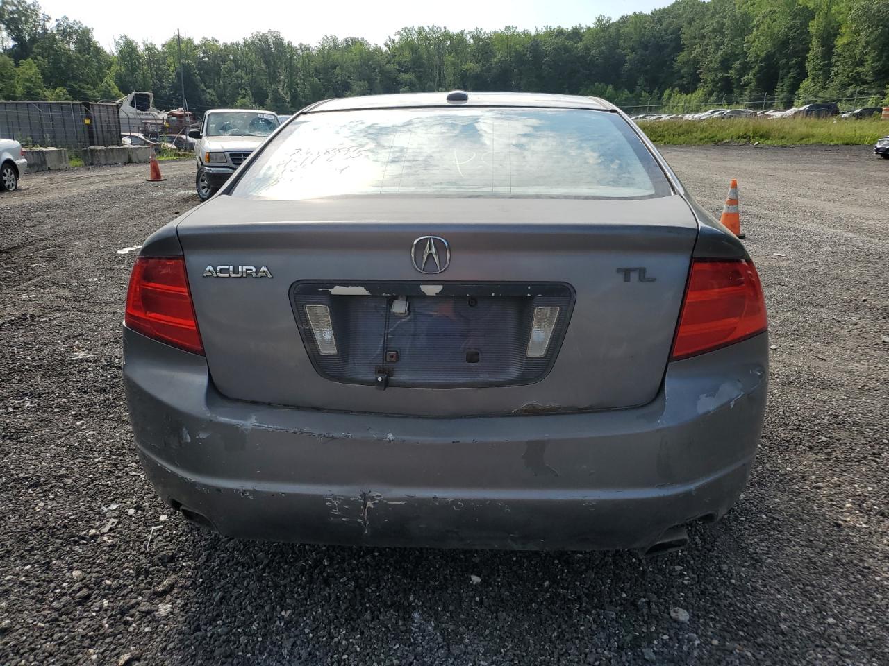 2006 Acura 3.2Tl VIN: 19UUA66216A050176 Lot: 64785944