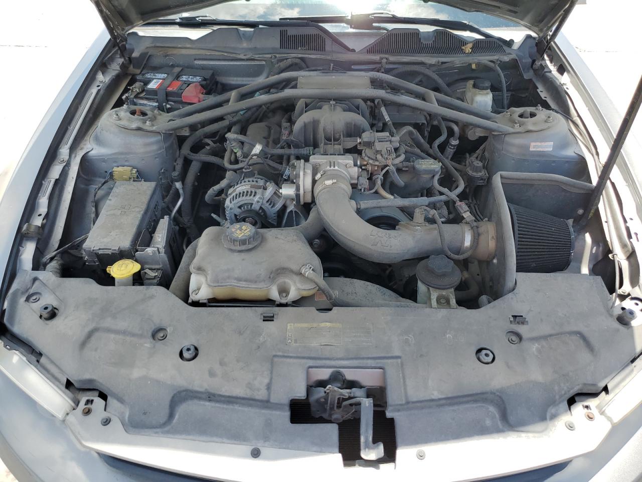 2010 Ford Mustang VIN: 1ZVBP8ANXA5143486 Lot: 65203954