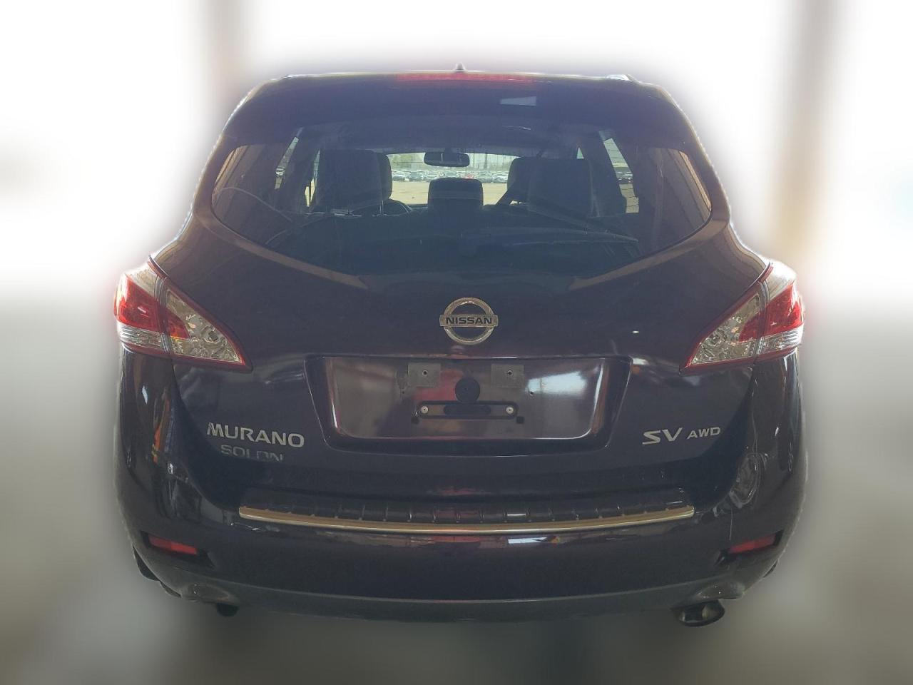 2013 Nissan Murano S VIN: JN8AZ1MW9DW302201 Lot: 61463644