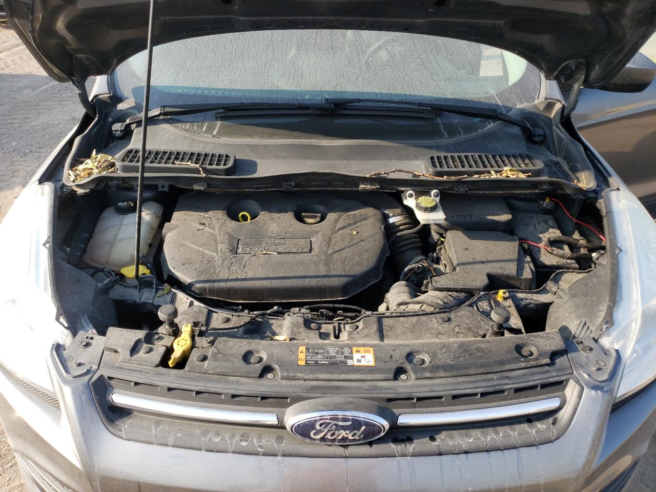 2014 Ford Escape Se VIN: 1FMCU9G97EUD80251 Lot: 65120944