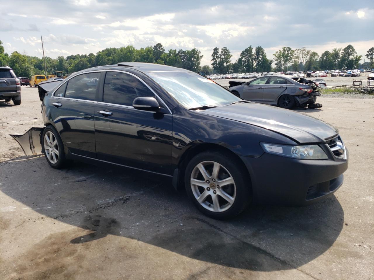 2004 Acura Tsx VIN: JH4CL95804C020484 Lot: 62033874