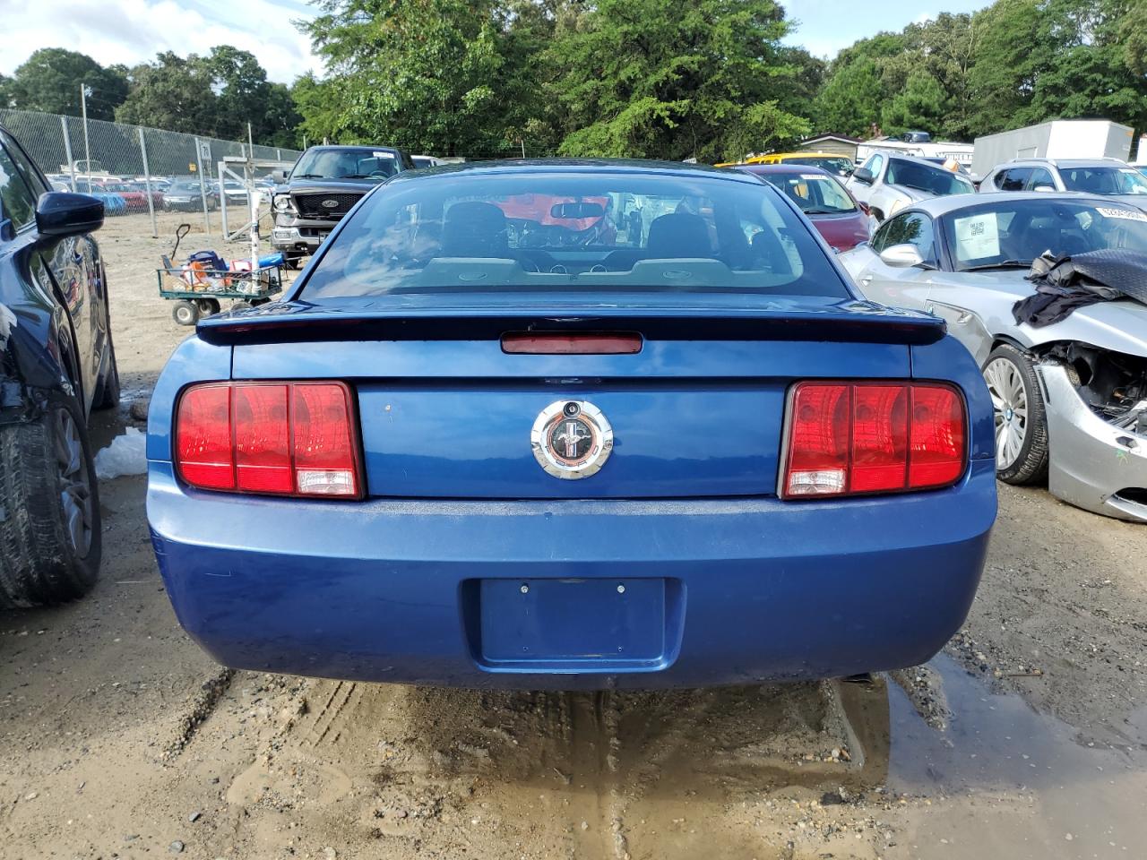 2008 Ford Mustang VIN: 1ZVHT80N585125740 Lot: 64351274