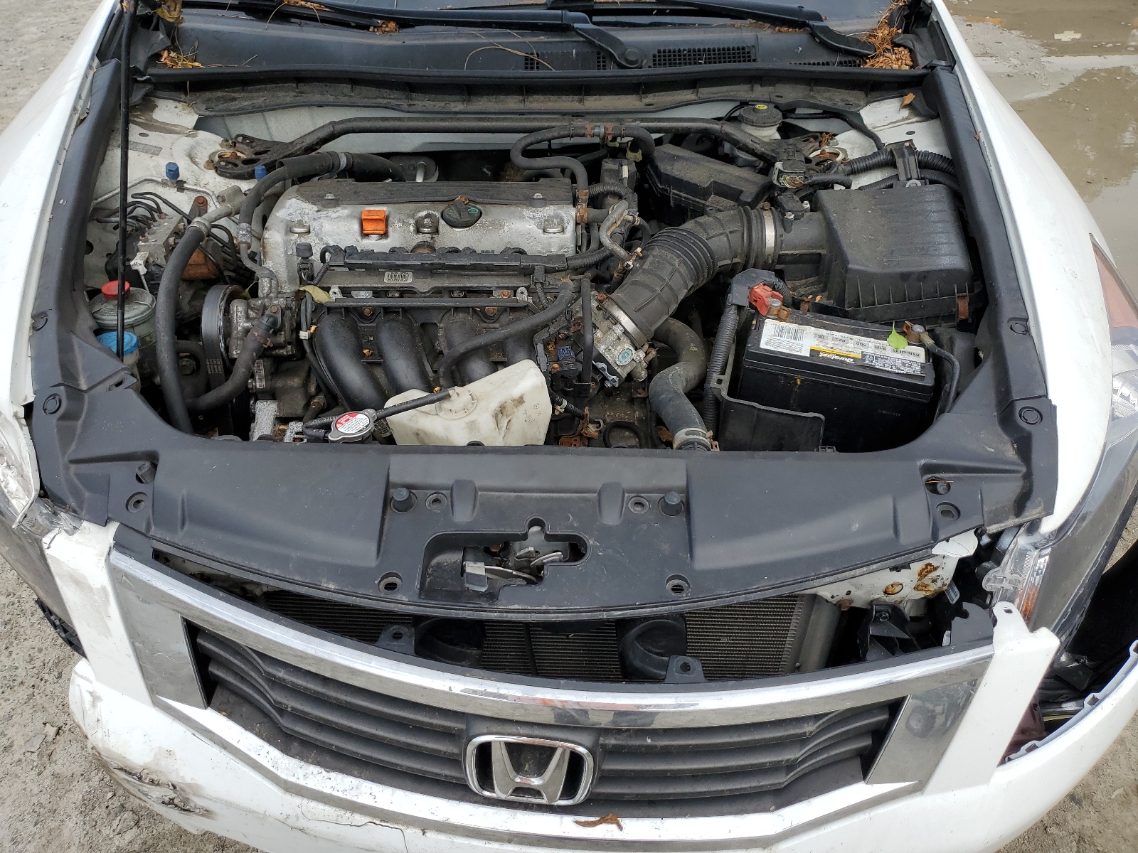 1HGCP2F82AA008115 2010 Honda Accord Exl