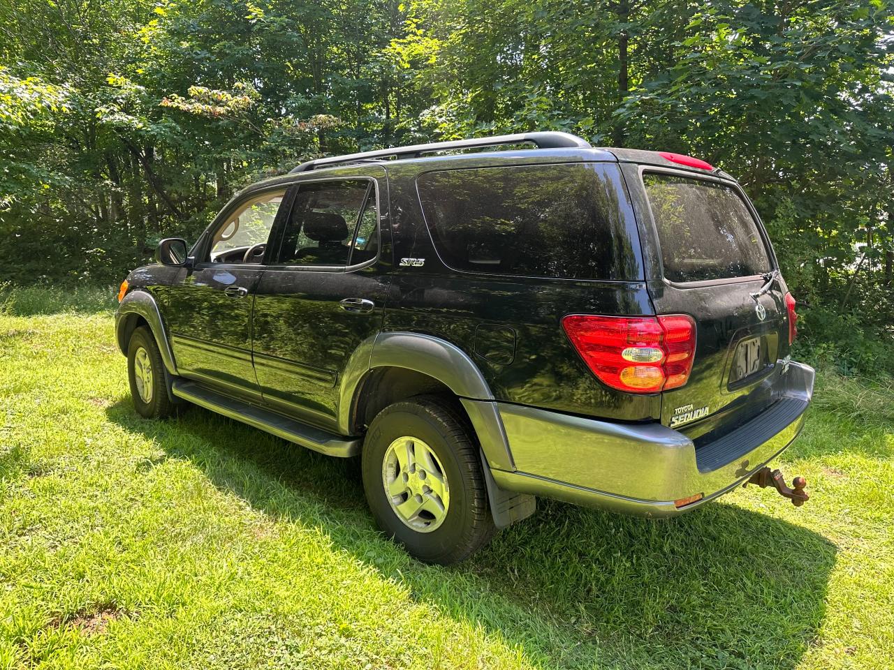 2004 Toyota Sequoia Sr5 VIN: 5TDBT44A24S213979 Lot: 64372744