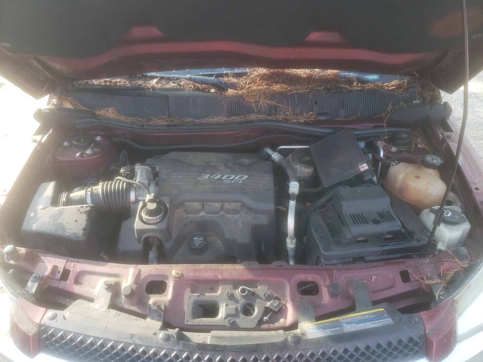 2CNDL53F886320171 2008 Chevrolet Equinox Lt