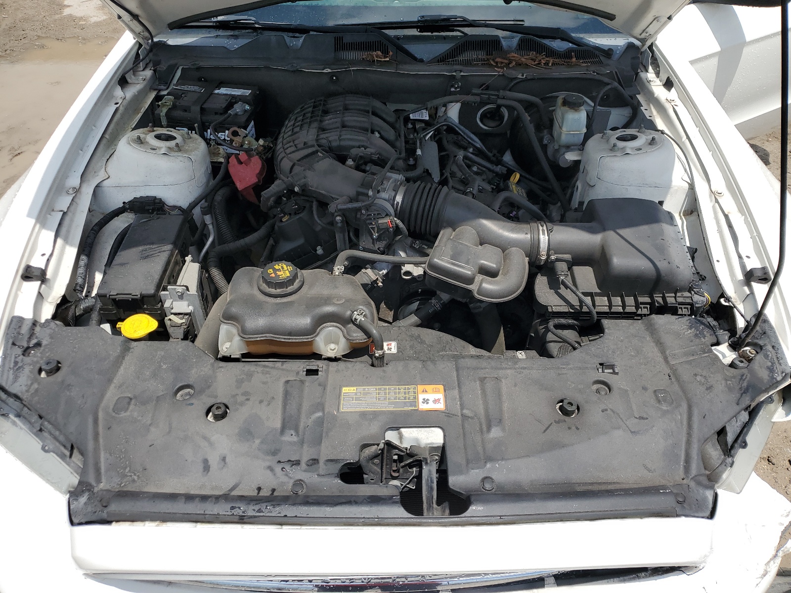 1ZVBP8AM5D5275857 2013 Ford Mustang