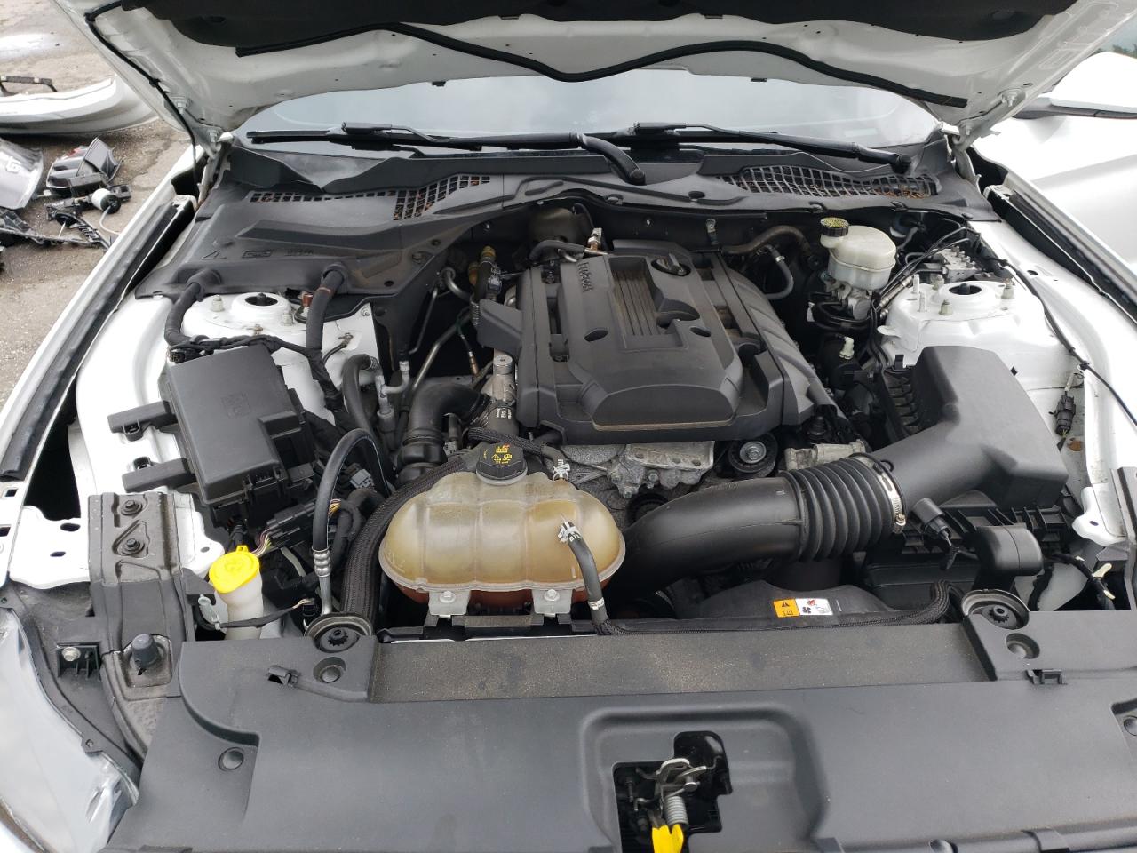 2015 Ford Mustang VIN: 1FA6P8TH8F5341296 Lot: 65393264