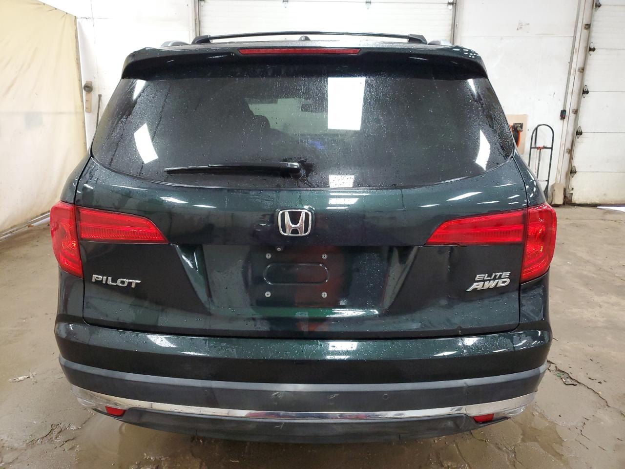 2016 Honda Pilot Elite VIN: 5FNYF6H01GB007317 Lot: 62456774