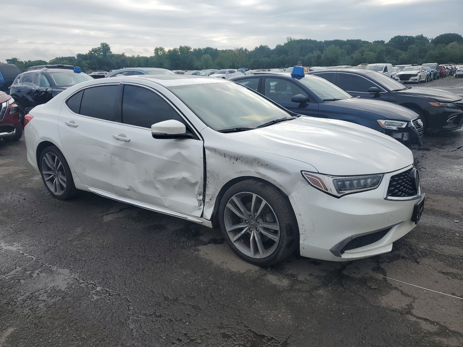 19UUB2F41KA007376 2019 Acura Tlx Technology