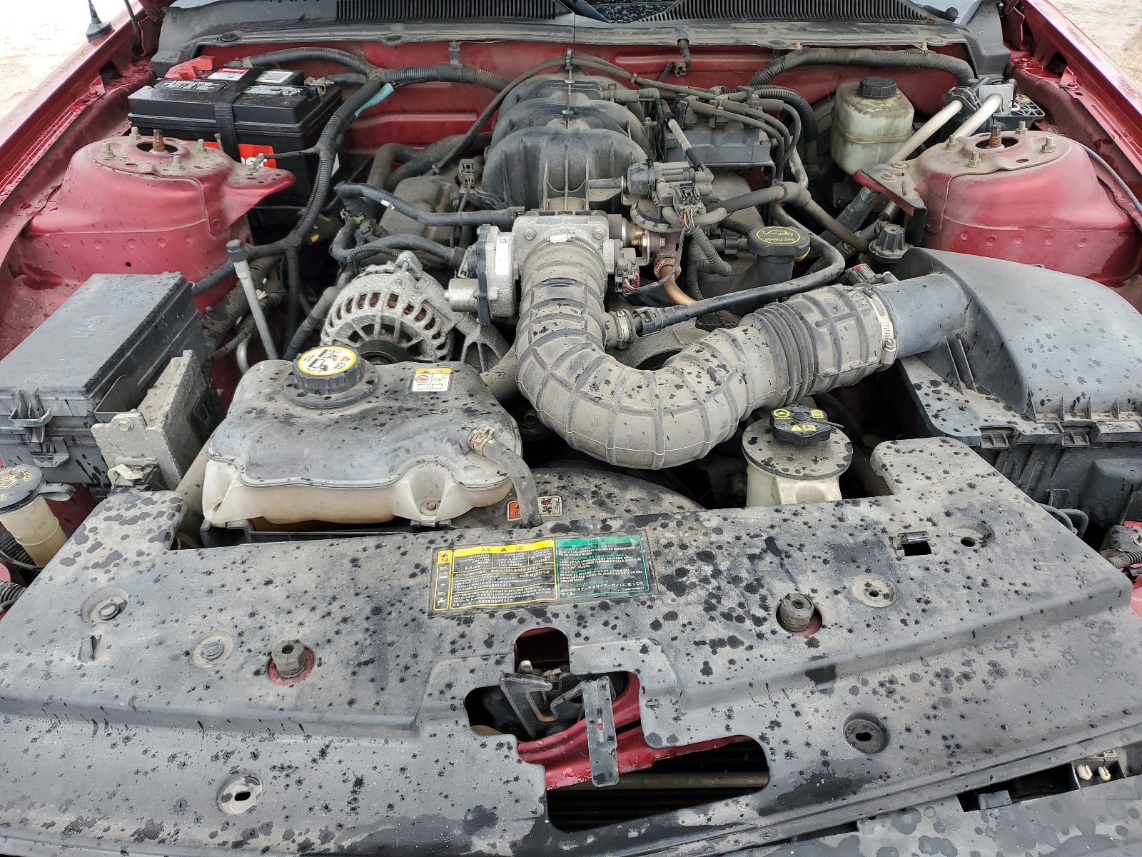 1ZVFT80N965192197 2006 Ford Mustang