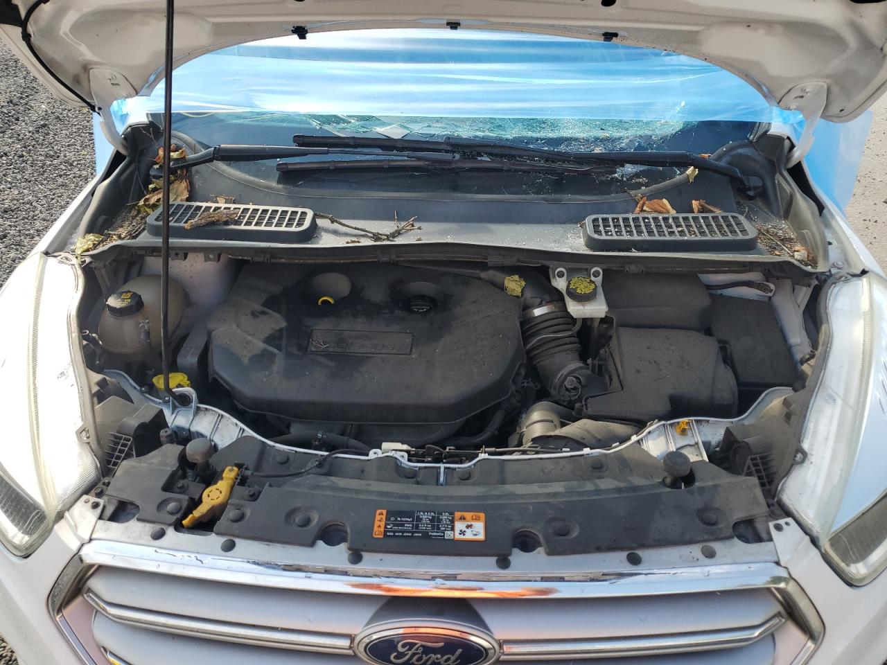 2017 Ford Escape Se VIN: 1FMCU9G98HUA91013 Lot: 62284314