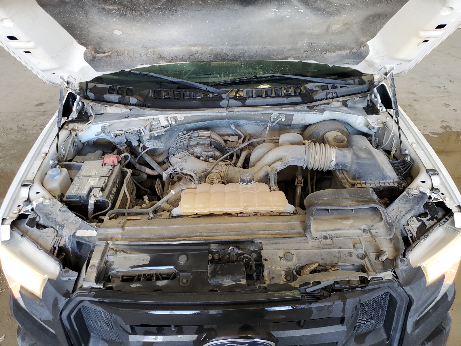 1FTMF1C83HKC30493 2017 Ford F150