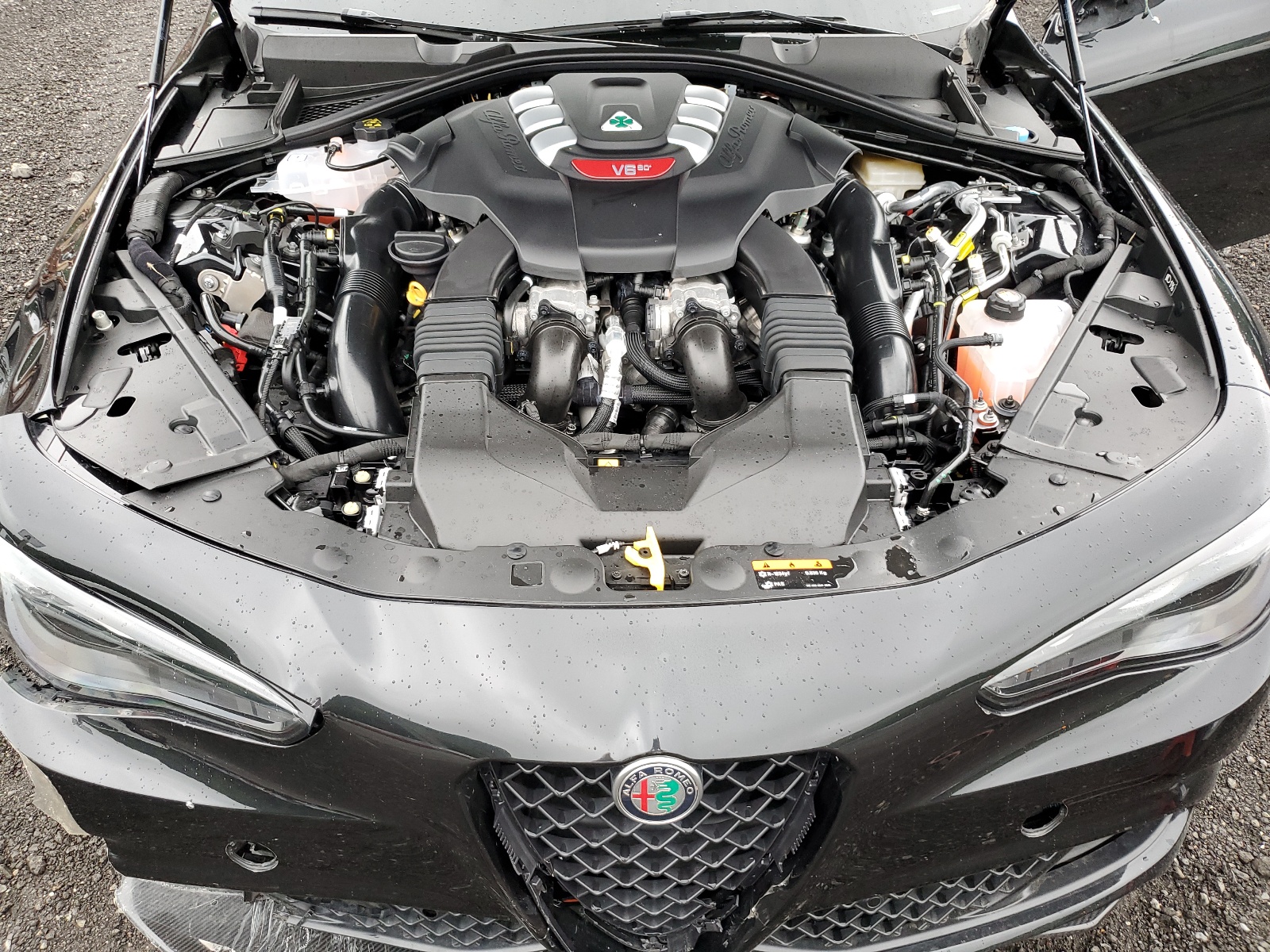 ZARFAMEV9R7684608 2024 Alfa Romeo Giulia Quadrifoglio