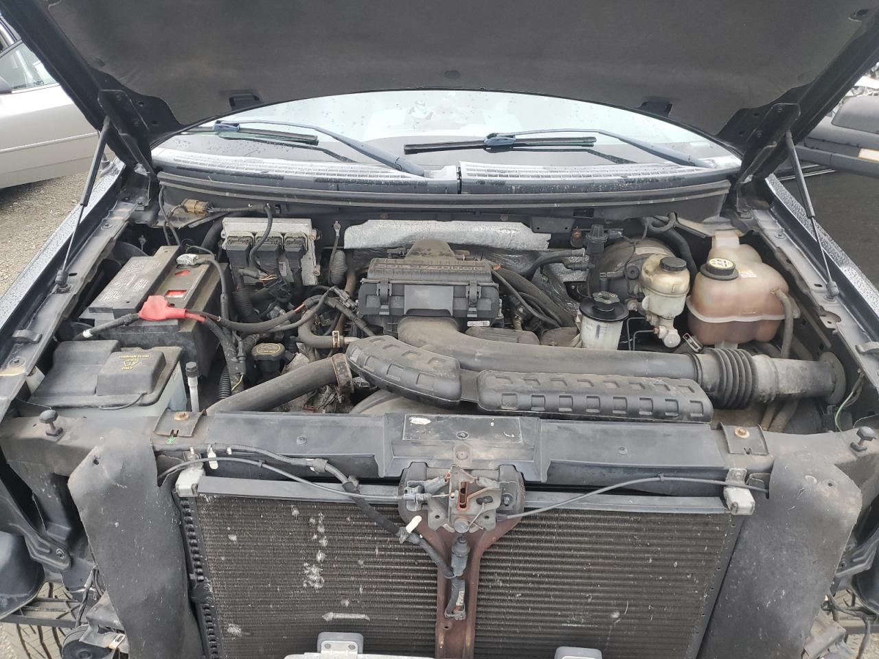 2007 Ford F150 VIN: 1FTPX12V27KD37955 Lot: 64969374