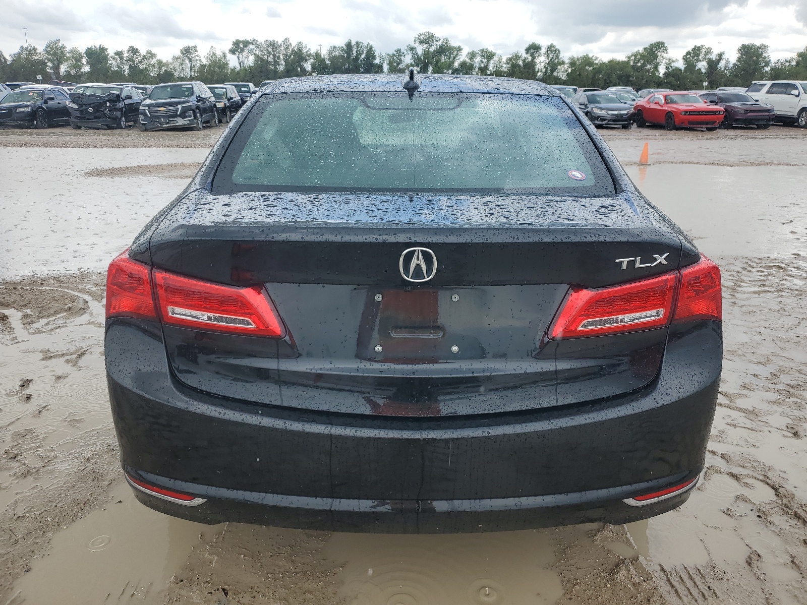 19UUB1F33LA005406 2020 Acura Tlx