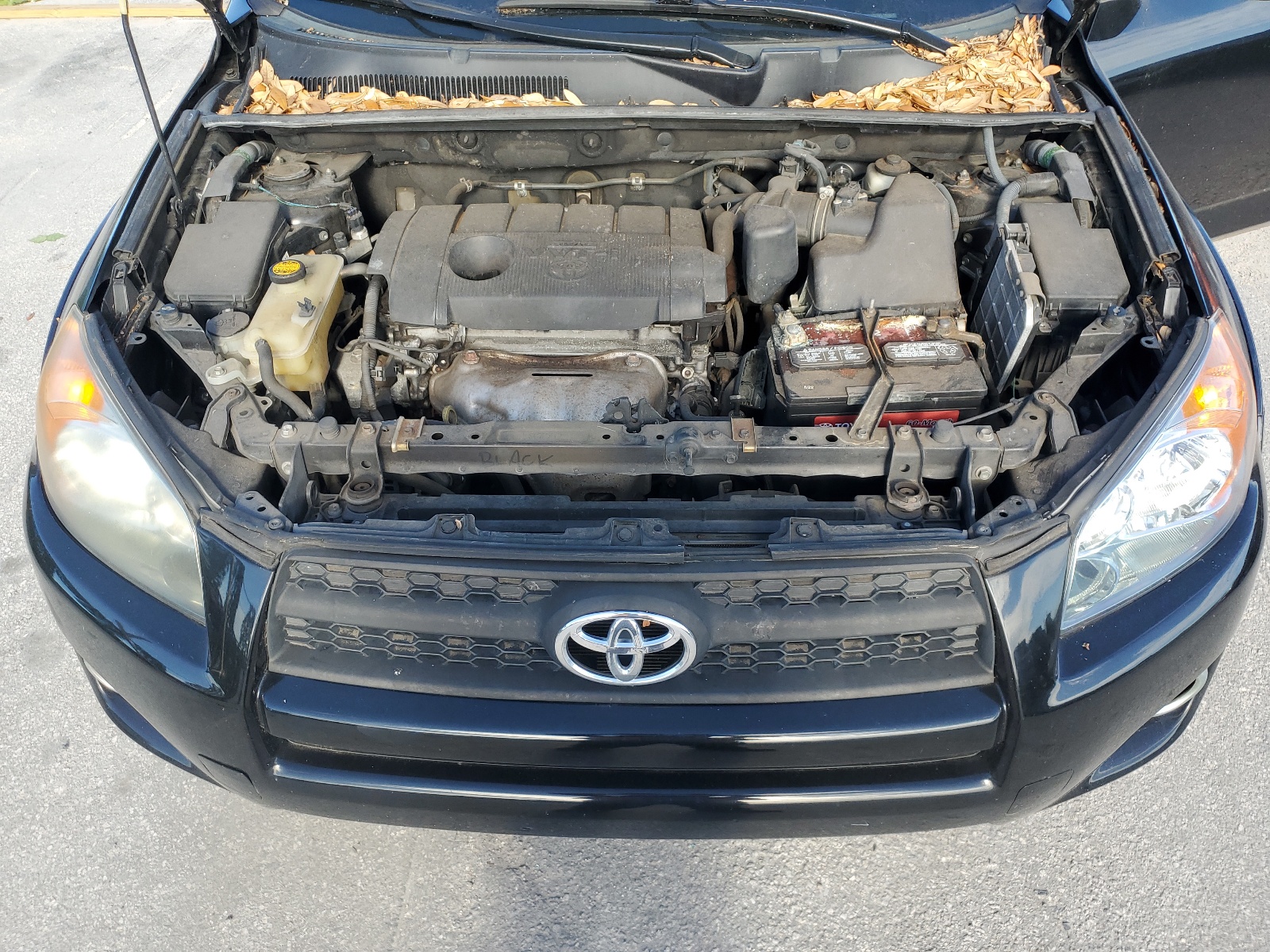 2T3WF4DV9CW151361 2012 Toyota Rav4 Sport