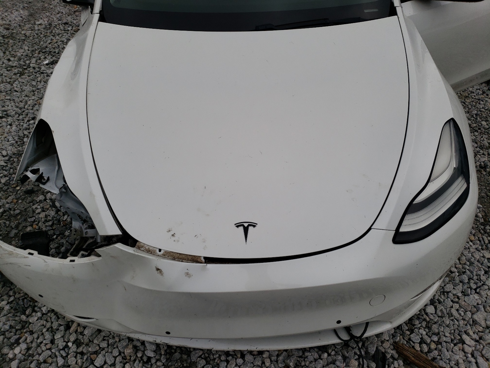 5YJYGDEE7LF010900 2020 Tesla Model Y