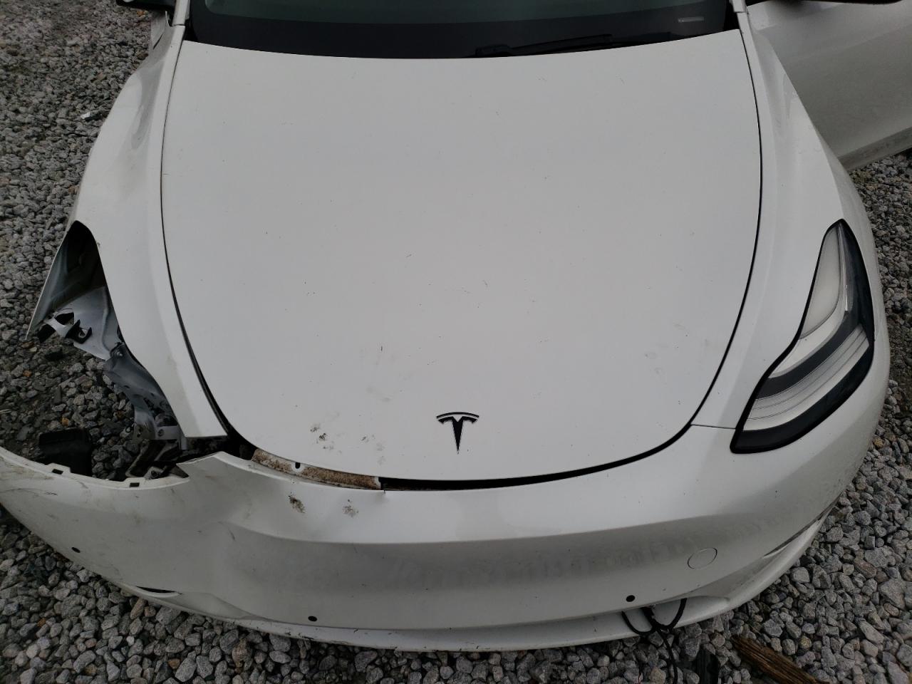 2020 Tesla Model Y VIN: 5YJYGDEE7LF010900 Lot: 60948164