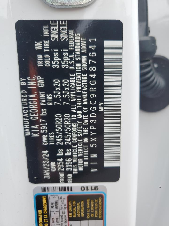 2024 Kia Telluride Ex VIN: 5XYP3DGC9RG487641 Lot: 64513734