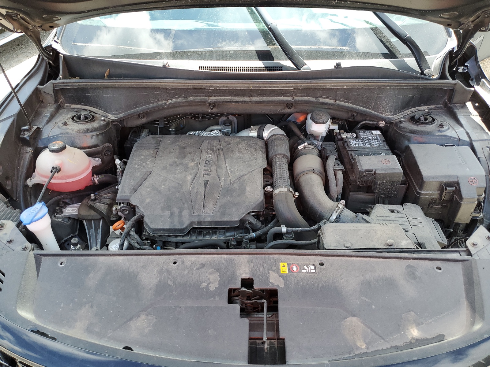 5XYRK4LF8NG088659 2022 Kia Sorento Sx